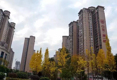 【中驰·排名前列城】元旦节精彩活动即将来袭~