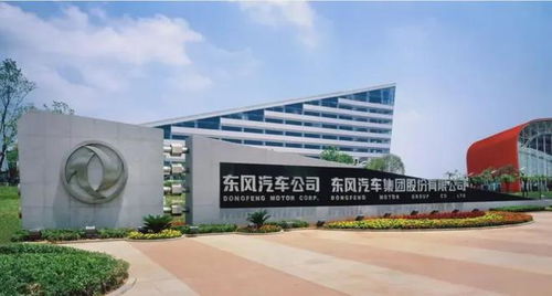 消失 3个月后,他公开亮相