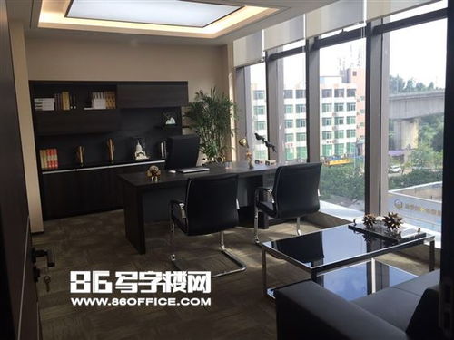 深圳中安大厦出租 带全套豪华家私,仅租48元 布吉核心,高端写字楼,特价出租 86写字楼网
