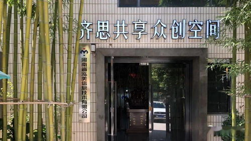 没有文化 的城不伤心