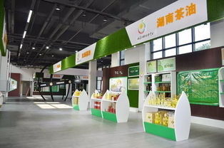 邵阳准3a景区名单公示,隆回崇木凼 旺溪景区上榜