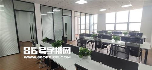 上海保周自贸中心 自贸区精装修办公室出租，物业直招，适合外贸物流、食品酒类、医疗器械等企业